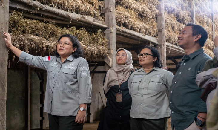 Sukses Swakelola Produksi Benih Bawang Putih di Tegal. (Dok. Kementan)