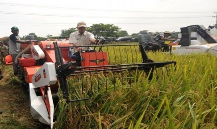 Foto : Agroklimat Juga Acuan Perencanaan Pemilihan Tanaman Dan Analisa Lokasi Yang Cocok Untuk Budidaya Tanaman Pangan. Sumber : www.swadayaonline.com