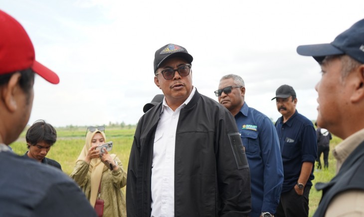 Pemantauan langsung terhadap kondisi pertanaman dan panen di sejumlah kawasan produksi padi di Kabupaten Merauke pada Sabtu (30/5/2026). (Foto : Kementan)