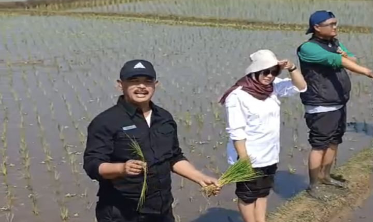 Kementan melaksanakan Gerakan Percepatan (Gercep) Tanam di Kabupaten Cianjur. (Foto: Dok. Kementan)
