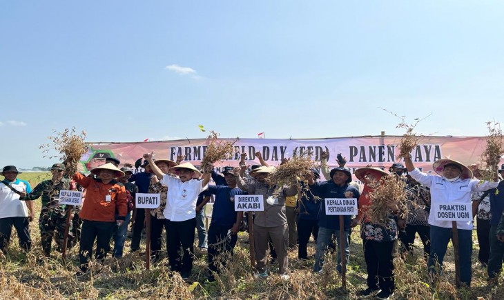 Foto :  Panen Kedelai di Kabupaten Pati yang berlokasi di Desa Trimulyo, Kecamatan Kayen.