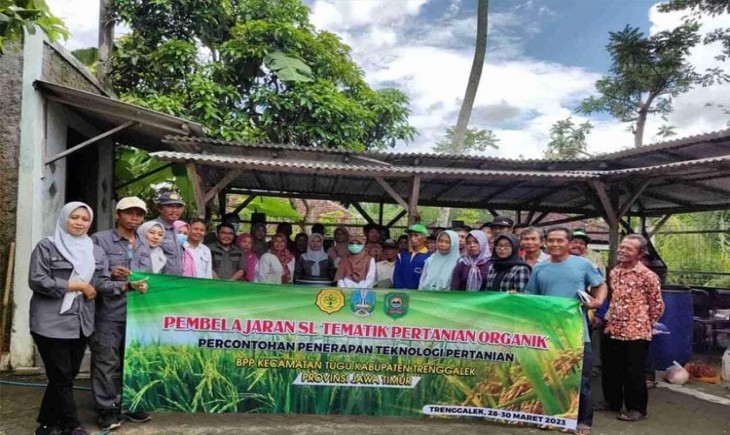 Polbangtan Malang melakukan kegiatan sekolah lapang. (Sumber : Pemkab Trenggalek)