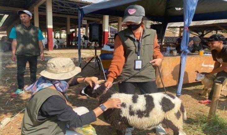 Pasar Domba Unggulan di Lapangan Pamidangan Arlamba Rancabango, Kabupaten Garut (Diskominfo Pemkab Garut).
