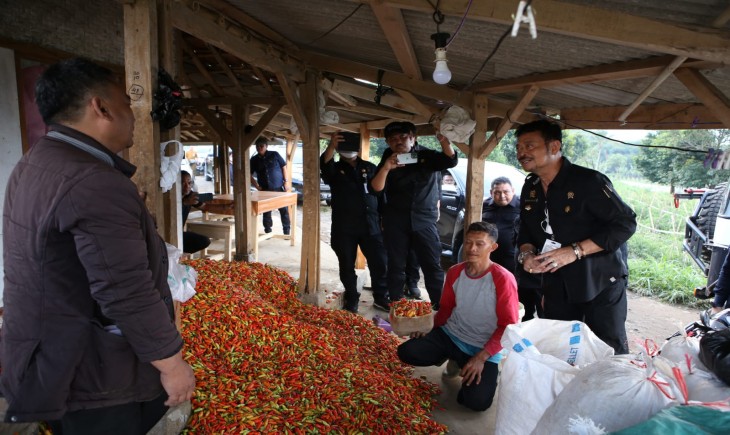 Foto : Harga Cabai Turun.