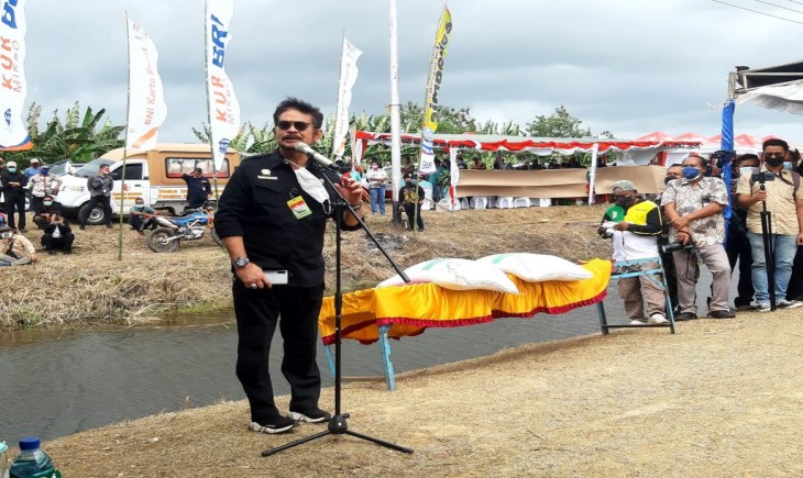 Foto : Kunjungan Menteri Pertanian Ke Merauke.