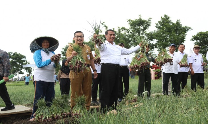 Mentan Andi Amran Sulaiman menghadiri panen raya bawang merah di Kabupaten Brebes, Jawa Tengah. (Foto : Dok. Kementan)