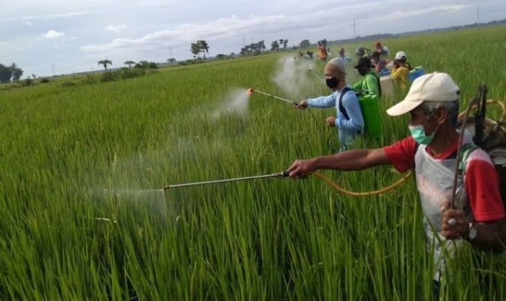 Foto : Ilustrasi Gerakan Antisipasi Serangan OPT. Sumber Foto : Tabloid Sinartani