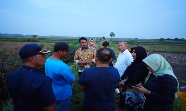 Direktur Jenderal Tanaman Pangan Kementan, Suwandi kunjungan lapangan mensolusi terkendala air serta menggerakkan percepatan olah tanah di wilayah Kabupaten Lamongan. (Foto: Dok. Kementan)