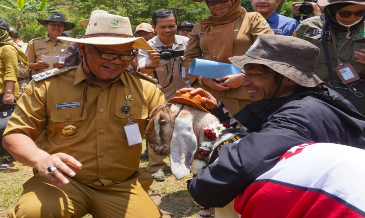 Penjabat Bupati Banjarnegara Tri Harso mengalungkan karangan bunga ke leher cempe bernama Kuncoro (Muchtar Mohammad)