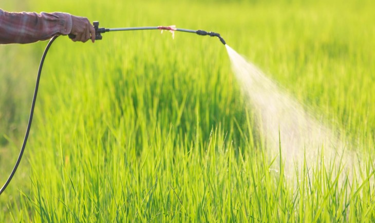 Ilustrasi - Petani Penajam dibekali ilmu pemakaian pestisida dengan aman. (Foto : IPB Digitani)
