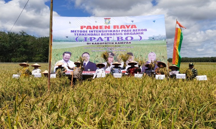 Foto : Panen Raya dengan Teknologi Intensifikasi Padi Aerob Terkendali Berbasis Organik (IPAT-BO).