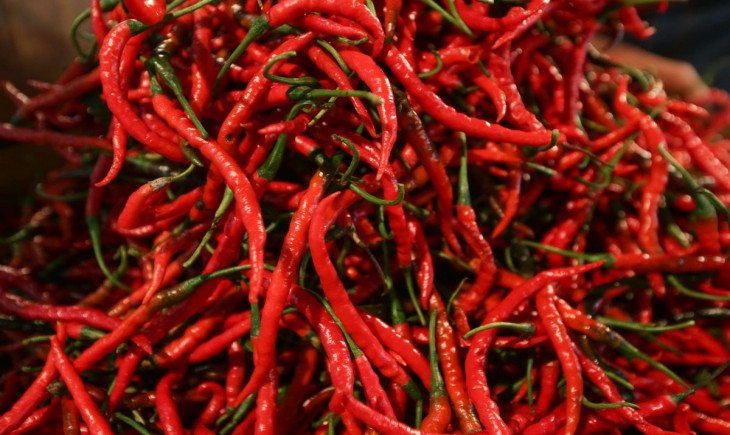 Harga cabai merah di meulaboh naik drastis, tembus Rp85 ribu per kilo.