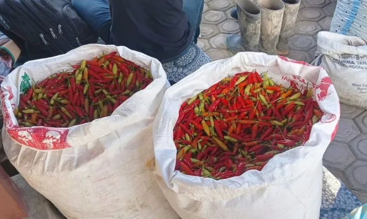 Cabai rawit petani Aceh Tengah yang dijual ke Lhokseumawe, Jumat (12/12/2025). (Foto: Antara)