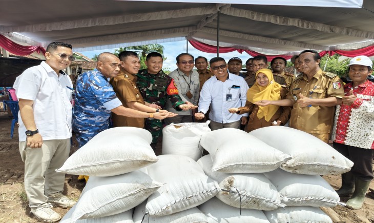 Panen Raya Serentak di 14 Provinsi, Tulang Bawang Siap Jadi Lokomotif Swasembada Pangan Lampung. (Foto: dok. Kementan)