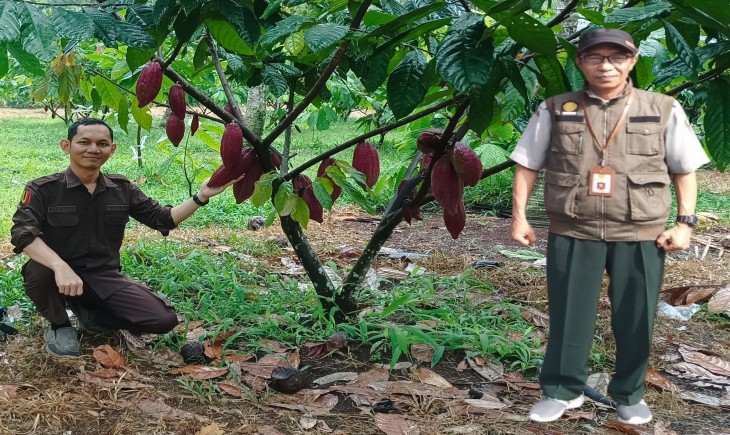 Benih Bermutu dari Varietas Unggul Pilar Penting Peningkatan Produktivitas Tanaman. (Foto: Dok. Kementan)