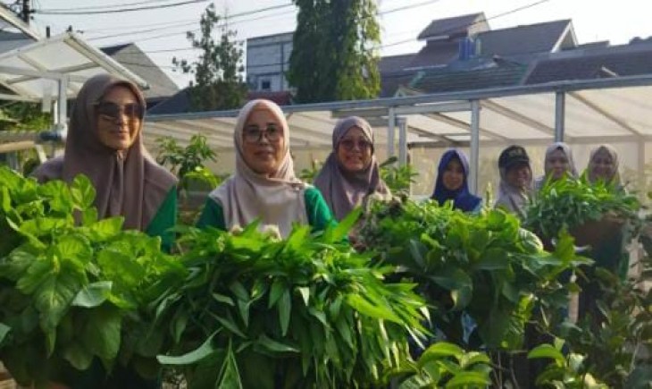 Anggota Kelompok Tani Pagertani Maharaja sedang panen sayuran segar (Humas Depok)