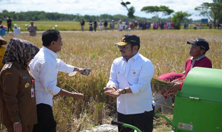 Foto : Mentan SYL Saat Menghadiri Acara Panen Raya.
