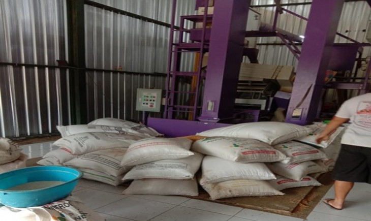 Foto : Lokasi Food Estate di Kapuas Kuala Kalimantan Tengah.