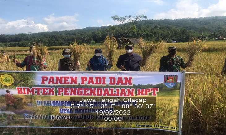 Foto : Kementan Melakukan Panen Padi di Areal Persawahan Poktan Sangkan Hurip V desa Dayeuhluhur Kecamatan Dayeuhluhur Kabupaten Cilacap.