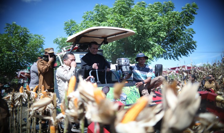 Mentan Amran saat panen raya jagung di Desa Penyaring, Kecamatan Moyo Utara Kabupaten Sumbawa, NTB, Senin (21/4/2025). (Foto: dok. Kementan)