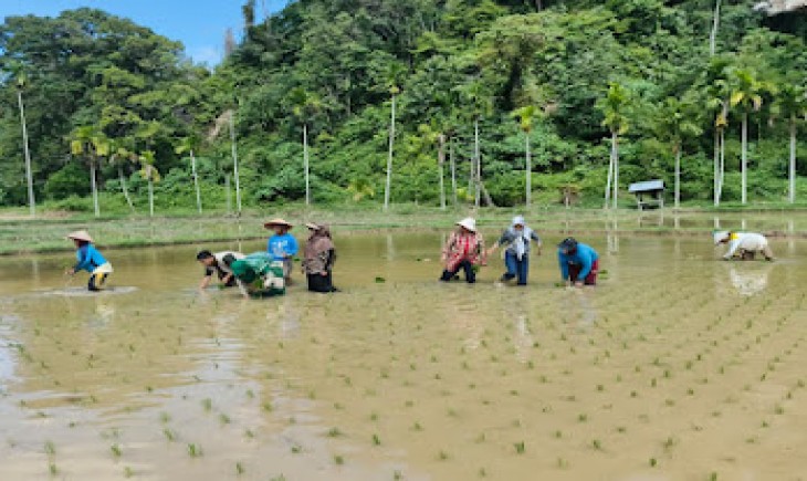 Rehabilitasi lahan pertanian pascabencana di Sumatera Barat. (Foto : Kementan)