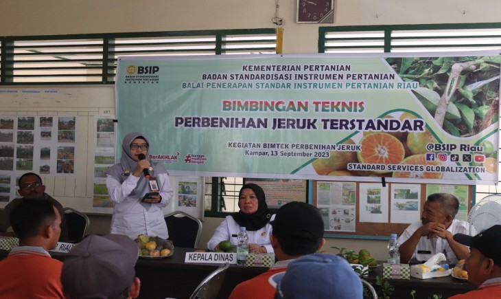 BSIP Riau melaksanakan Bimtek Perbenihan Jeruk Terstandar di Desa Lipat Kain, Kecamatan Kampar Kiri, Kabupaten Kampar pada Rabu (13/09/2023).