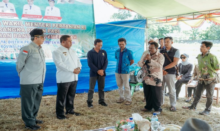 foto: Wakil Menteri Pertanian (Wamentan), Harvick Hasnul Qolbi melakukan panen padi di Kabupaten Manokwari dan mendorongnya menjadi lumbung pangan di Provinsi Papua Barat.