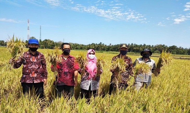 Foto : BPS Apresiasi Peningkatan Ekspor dan Produksi Sektor Pertanian Selama Pandemi Covid -19.