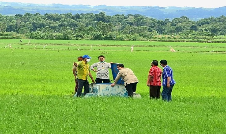 Foto : Menteri Pertanian Syahrul Yasin Limpo.