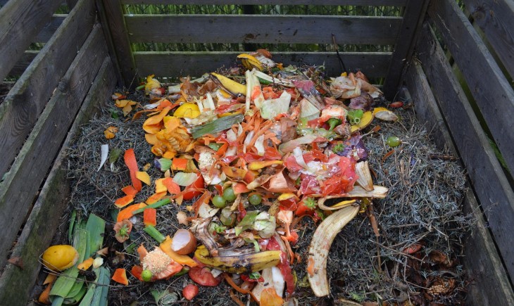 Ilustrasi sampah organik untuk ekoenzim. (Foto : Pixabay)