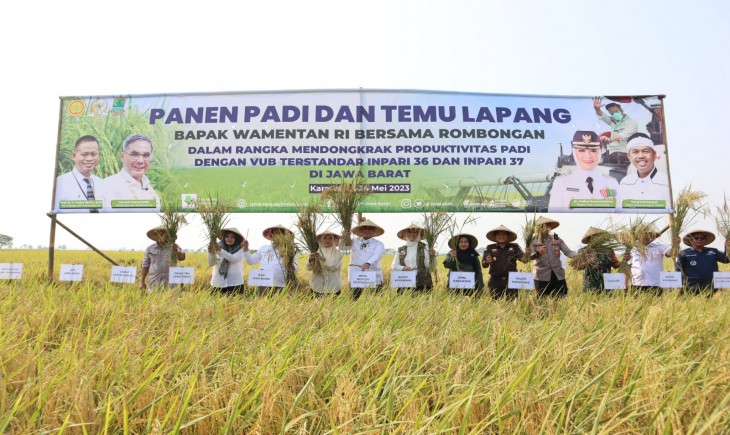 Wamentan Harvick Hasnul Qolbi meninjau panen raya padi di Desa Pulomulya, Kecamatan Lemahabang, Kabupaten Karawang, Jawa Barat. (Dok. Kementan)