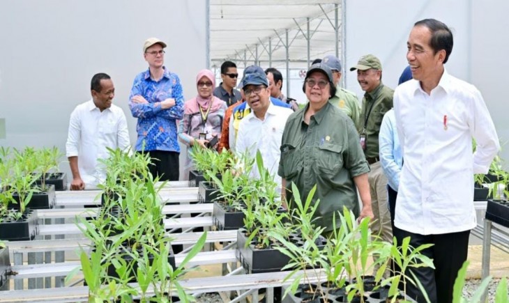 Jokowi melakukan pemantauan lokasi penyemaian di Kaltim (Setpres)