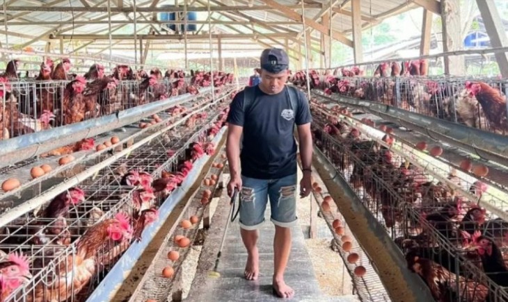 Peternak ayam petelur di Kelurahan Maleni Kecamatan Banawa, Kabupaten Donggala, Sulawesi Tengah melakukan penyemprotan rutin di areal kandang, Senin (9/2/2026). (Foto : ANTARA/HO-Pemkab Donggala)