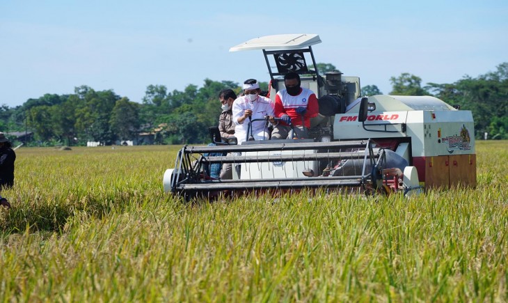 Foto : Panen Raya Padi di Karawang, Jawa Barat.