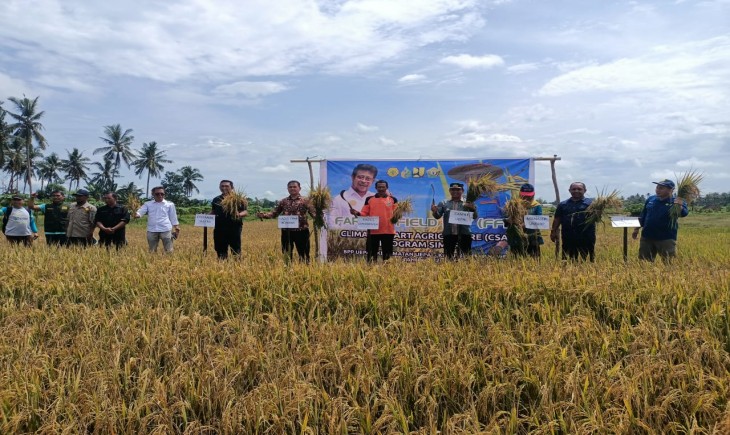 Foto : Ilustrasi Pertanian.