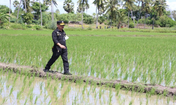 Foto : Mentan SYL Ingin Petani Bisa Menghasilkan Pupuk Organik Secara Mandiri dan Berkualitas.