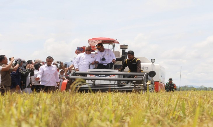 Foto : Panen Raya Padi akan berlangsung akhir Januari sampai awal Maret tahun 2023 di sejumlah wilayah Indonesia termasuk Banten.