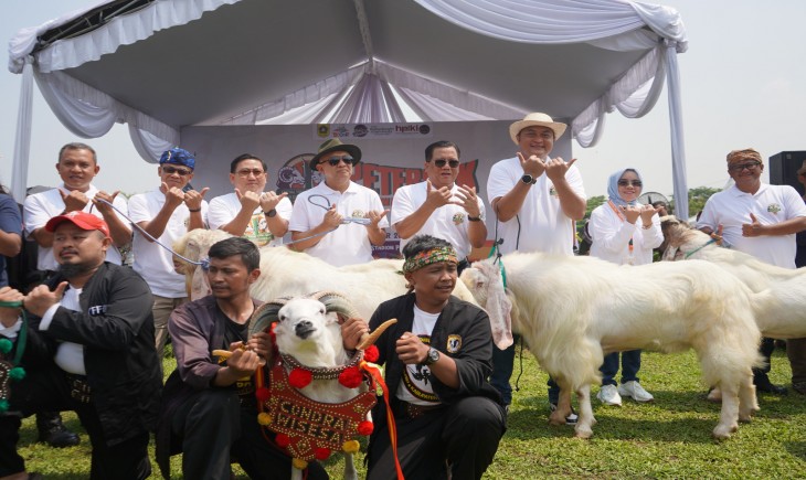 Gelaran Festival Ternak Domba dan Kambing di Cibinong, Kabupaten Bogor. (Diskominfo Kabupaten Bogor)