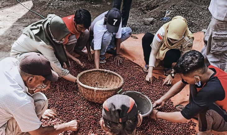 Foto : Petani Kopi dari Poktan Tani Makmur Jaya, Desa Pasrujambe, Kec. Pasrujambe, Kab. Lumajang berhasil meraih Juara pertama pada Kontes Kopi Spesialty Indonesia (KSI) ke XIV tahun 2022.