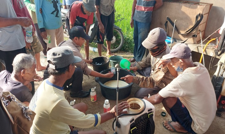 Gerakan pengendalian bersama secara serentak di beberapa daerah yang terkena dampak serangan hama wereng. (Foto: Dok. Kementan)