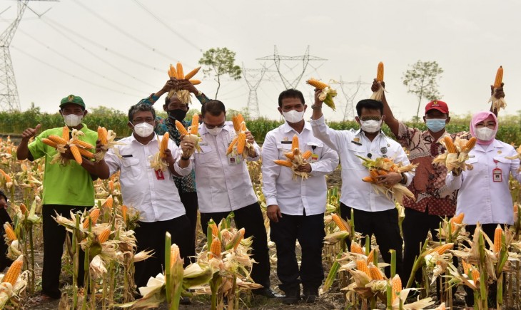 Foto : Bimbingan Teknis Sosialisasi Propaktani.
