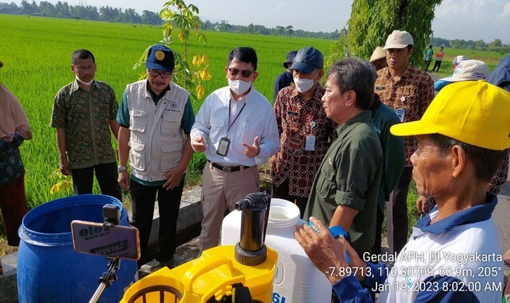 Foto : Gerakan Pengendalian secara Preemtif dengan menggunakan Agens Pengendali Hayati (APH) oleh Kelompok Tani Margo Rukun di Dusun Kadisoro. (Dok. kementan)