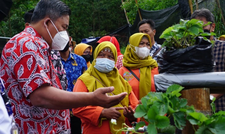 Foto : Pembangunan Kampung Hortikultura di Bukit Klangon.