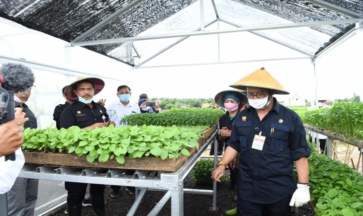 Foto : Mentan SYL bersama Anggota Komisi IV DPR RI, Luluk Nur Hamidah Saat Meninjau Kawasan Pertanian dengan Budidaya Integrated Farming yang dikembangkan Petani di Desa Kragan.