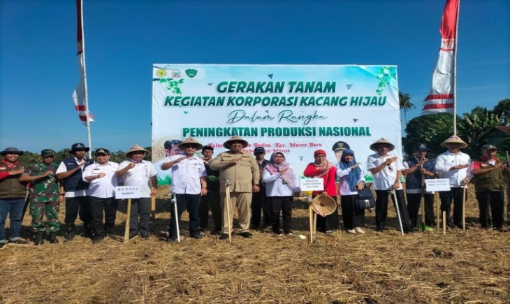 Pemkab Maros kerjasama dengan Akabi tanam kacang hijau (inikata.co.id)