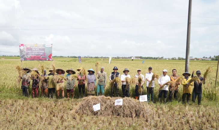 Foto : Kementerian Pertanian (Kementan) melakukan kegiatan Panen Padi Nusantara Satu Juta Hektare secara serentak pada Kamis (09/03).