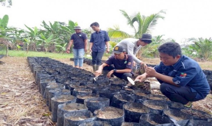 Foto : Ditjenbun Membuka Pendaftaran Daring Calon Penerima Beasiswa Sumber Daya Manusia Perkebunan Kelapa Sawit Tahun 2021.