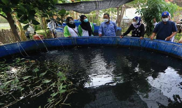 Kolam budidaya ikan yang dikembangkan warga di Bugul Kidul. Saat ini ada sekitar 510 pembudi daya ikan air payau di Kota Pasuruan. (Foto: M Zubaidillah/Jawa Pos Radar Bromo)