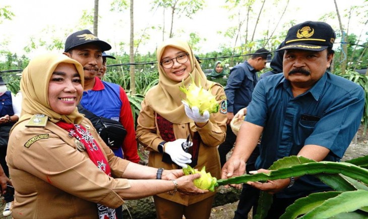 Bupati Banyuwangi, Ipuk Fiestiandani, dalam kegiatan Bunga Desa di Desa Sumberagung.