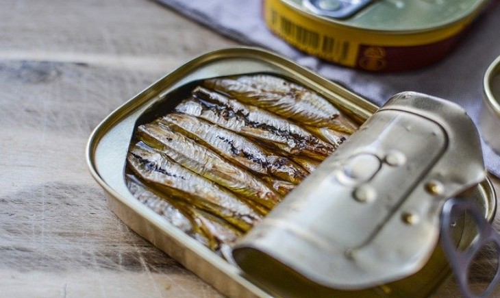Kontroversi Ikan Kaleng dalam Program Makan Bergizi Gratis